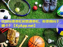 比较标准单杠和普通单杠，你更倾向于哪个？