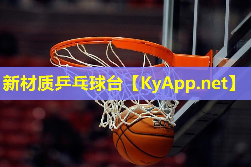 新材质乒乓球台