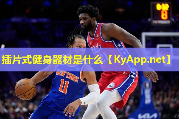 插片式健身器材是什么