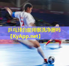 乒乓球台能用餐洗净擦吗