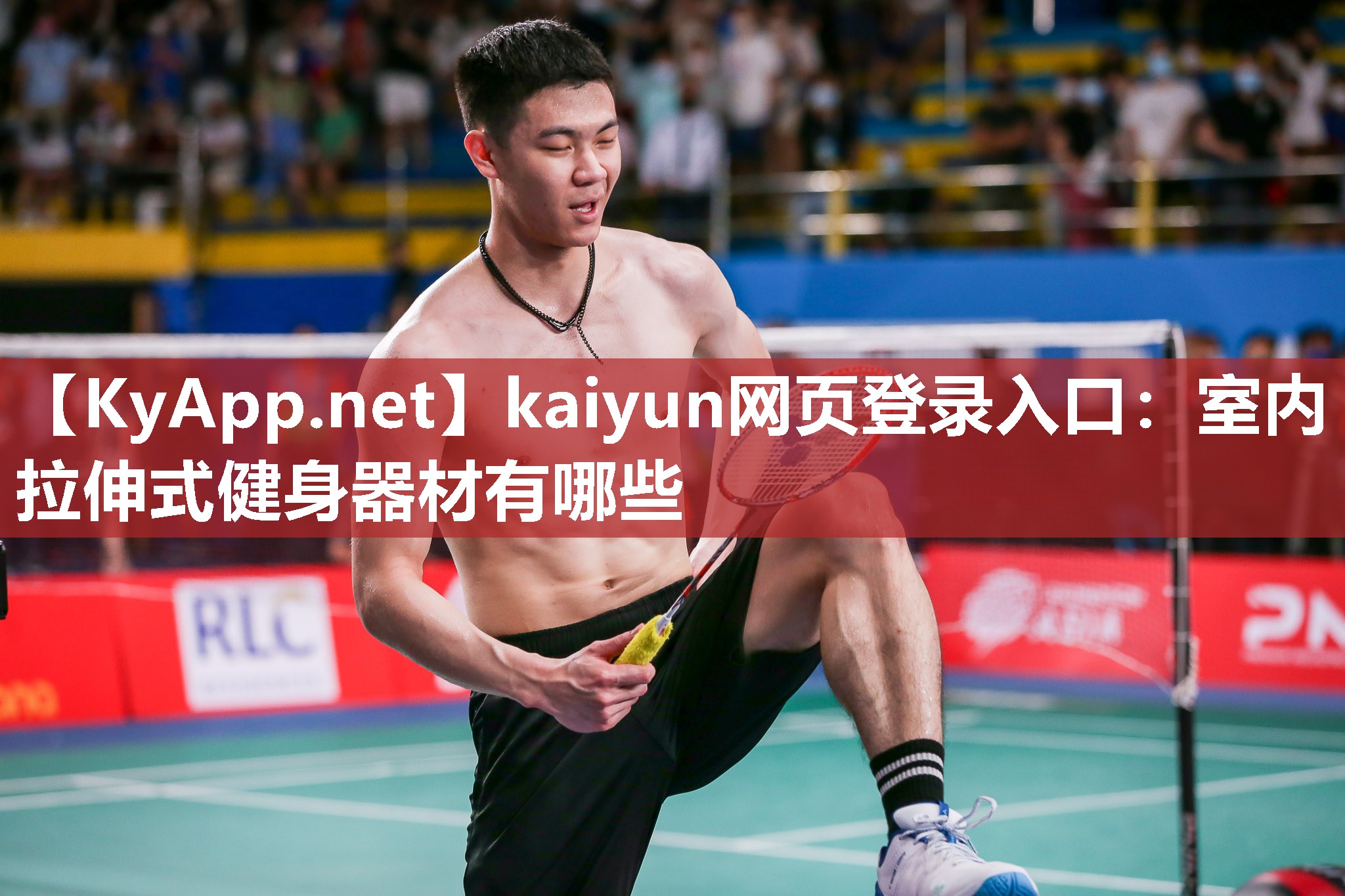 kaiyun网页登录入口：室内拉伸式健身器材有哪些
