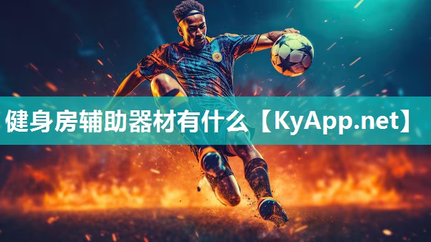 健身房辅助器材有什么
