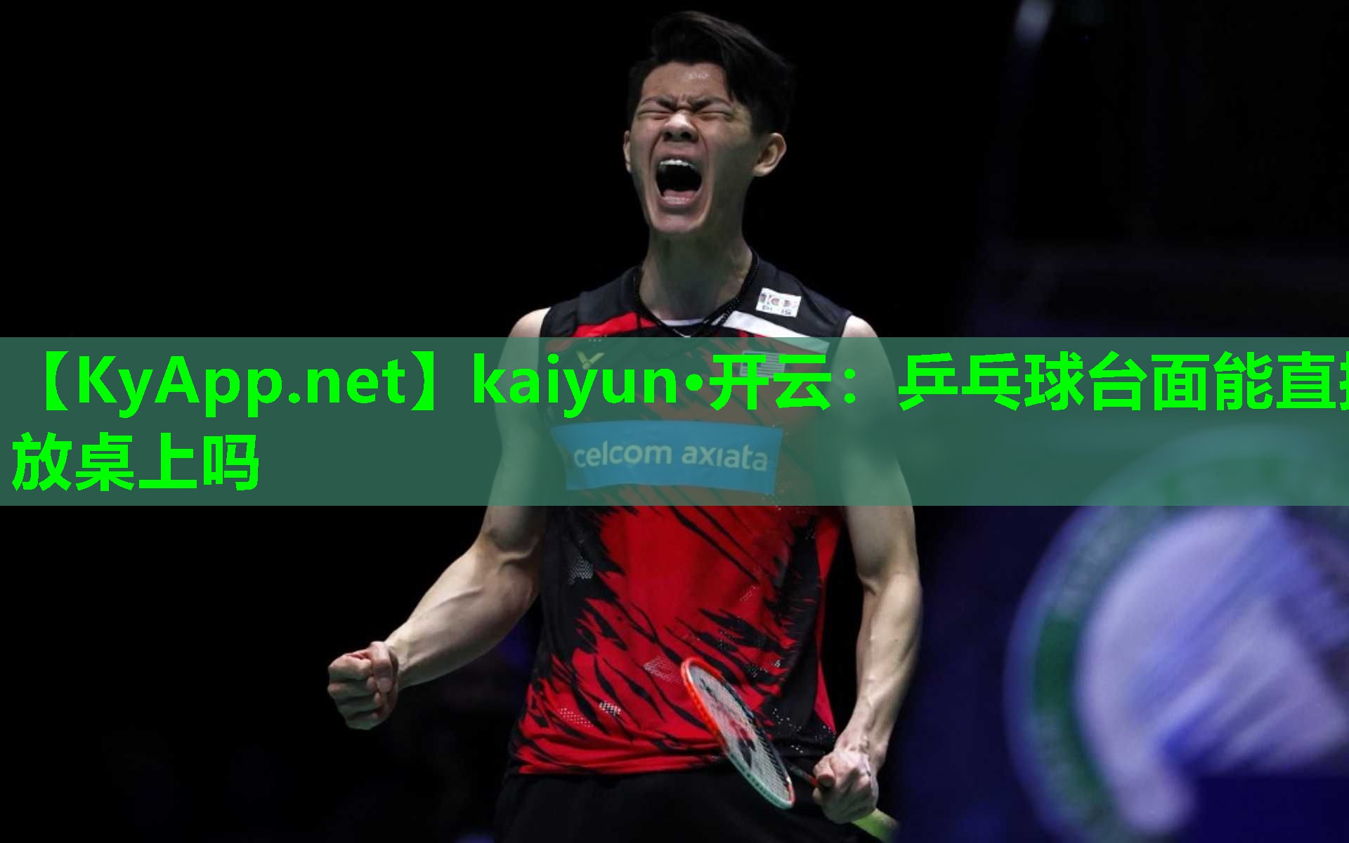 kaiyun·开云：乒乓球台面能直接放桌上吗
