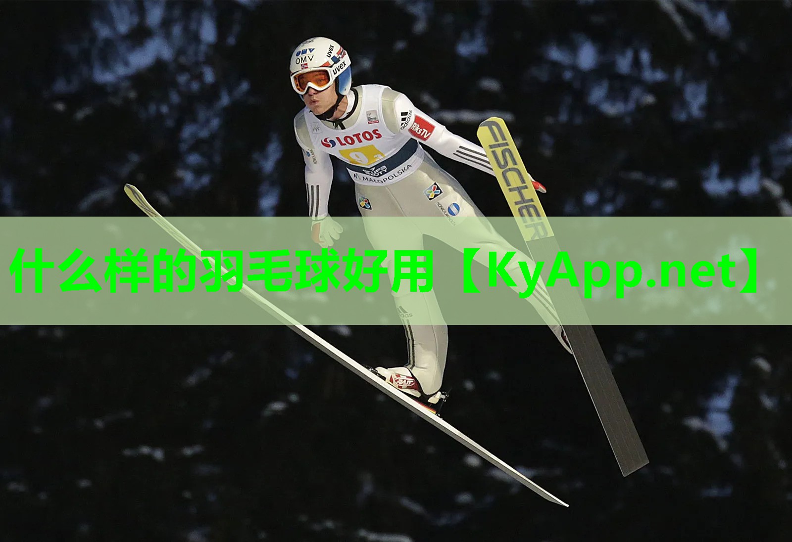什么样的羽毛球好用