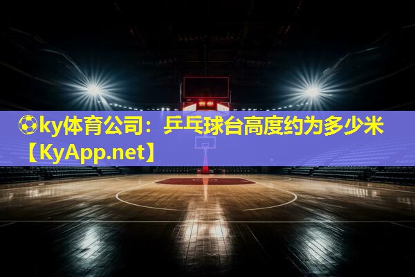 乒乓球台高度约为多少米