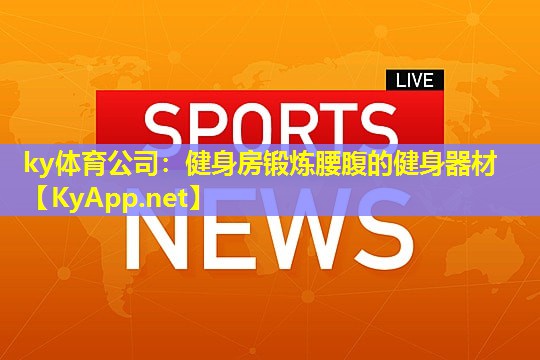 健身房锻炼腰腹的健身器材