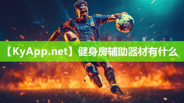 健身房辅助器材有什么