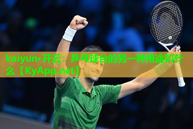 乒乓球台的另一种用途叫什么