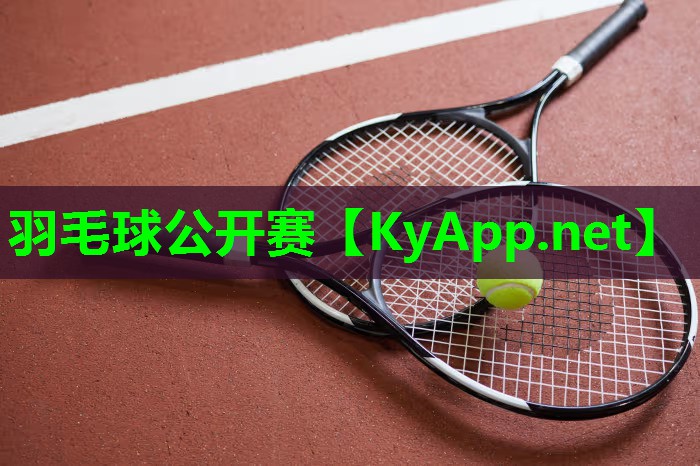 羽毛球公开赛