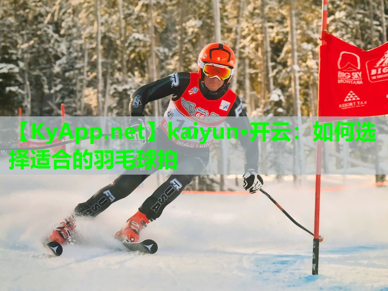 如何选择适合的羽毛球拍