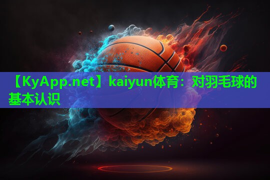 对羽毛球的基本认识